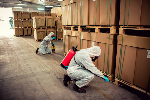 Best Flea Control Services  in Fyffe, AL