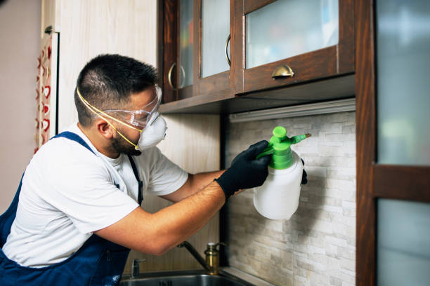 Best Commercial Pest Control Services  in Fyffe, AL