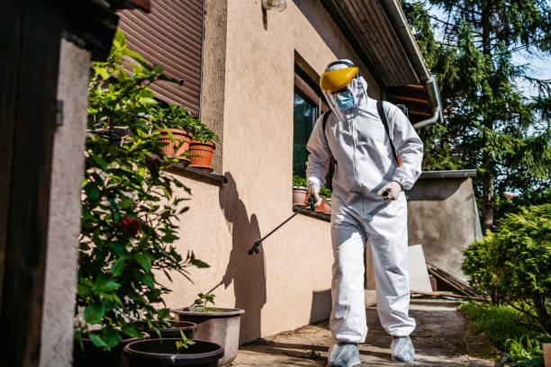 Best Mosquito Control Services  in Fyffe, AL