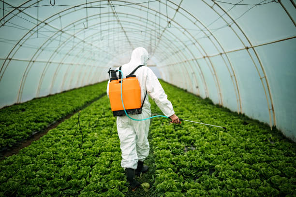 Best Pest Prevention Services  in Fyffe, AL