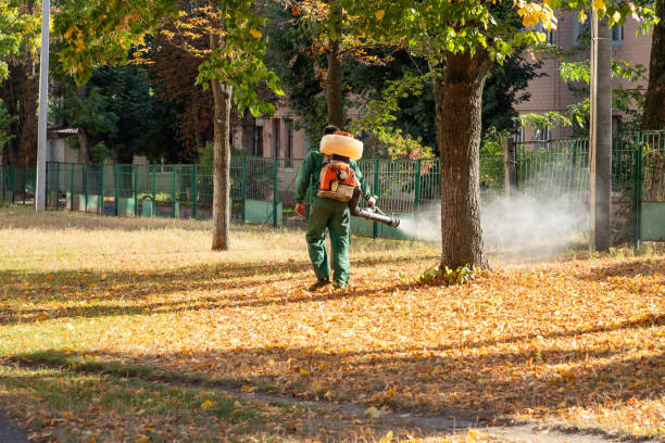 Best Emergency Pest Control  in Fyffe, AL