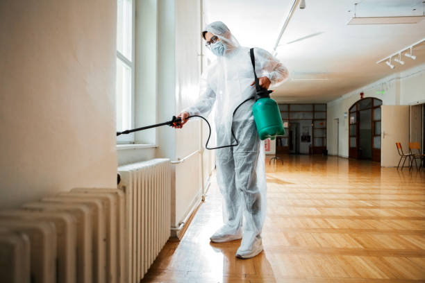 Best Bed Bug Extermination  in Fyffe, AL