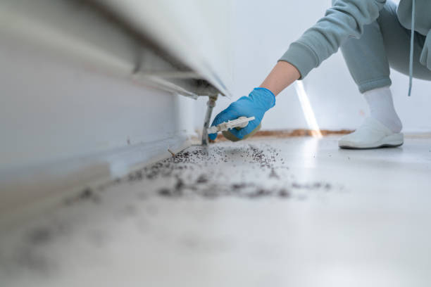 Insect Control in Fyffe, AL